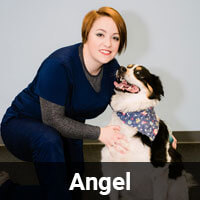 Angel