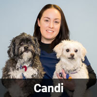 Candi
